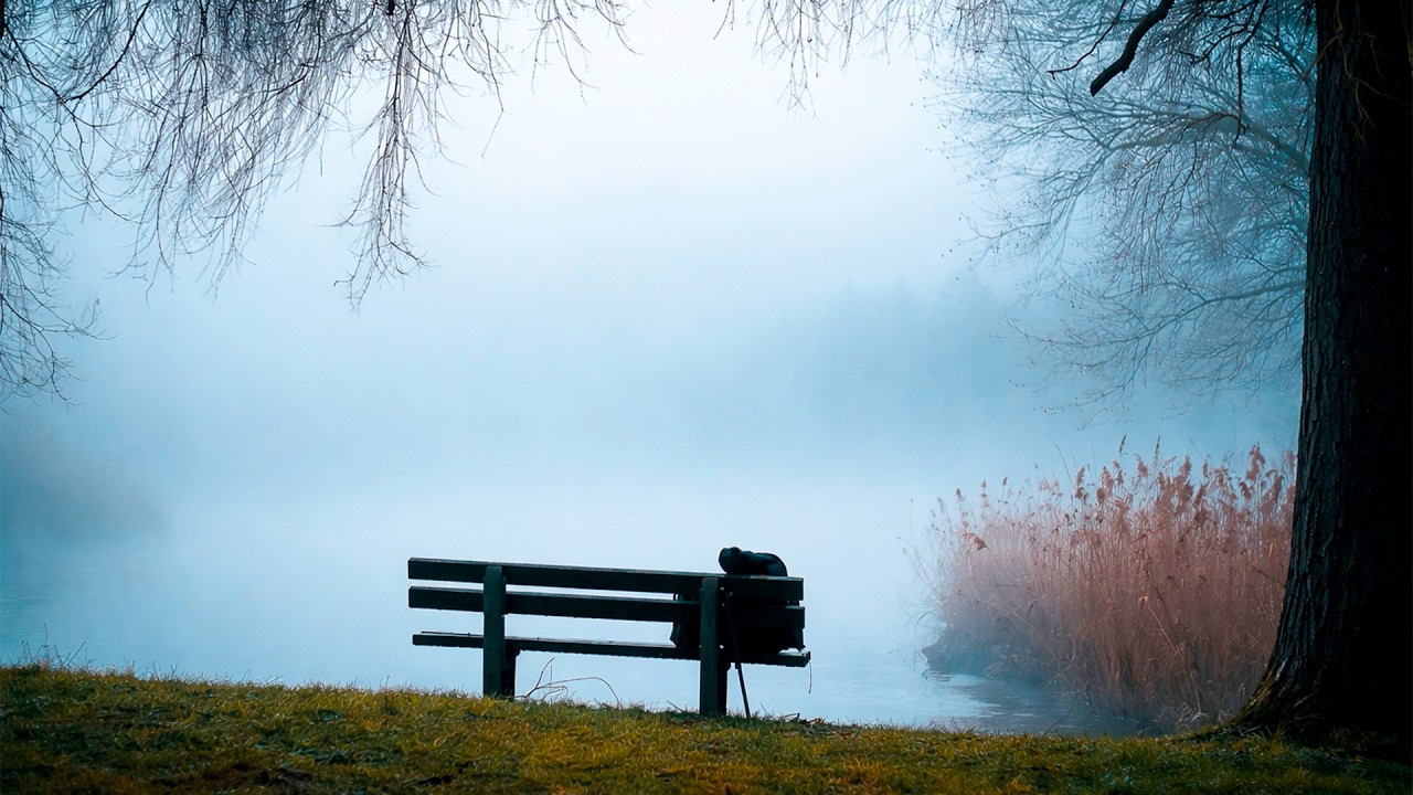 Chasing the Morning Fog