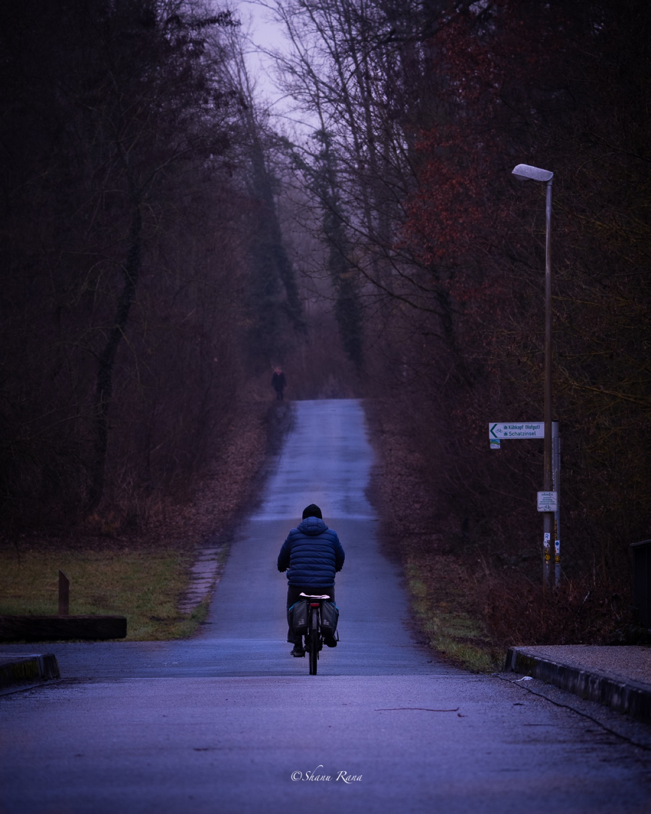Cyclist on a purple dusk road through bare trees