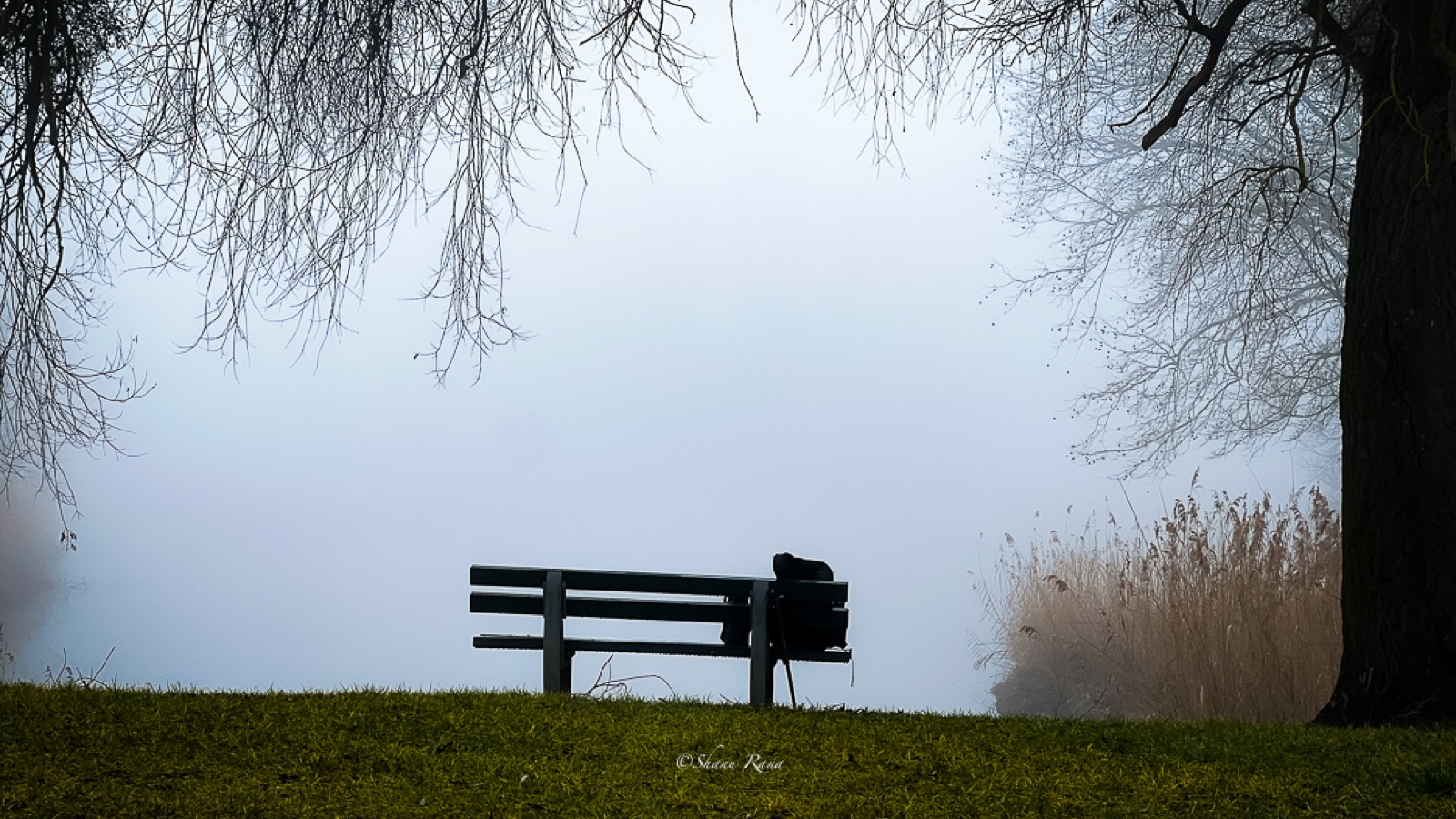 Bench with camera bag overlooking a fog-covered lake