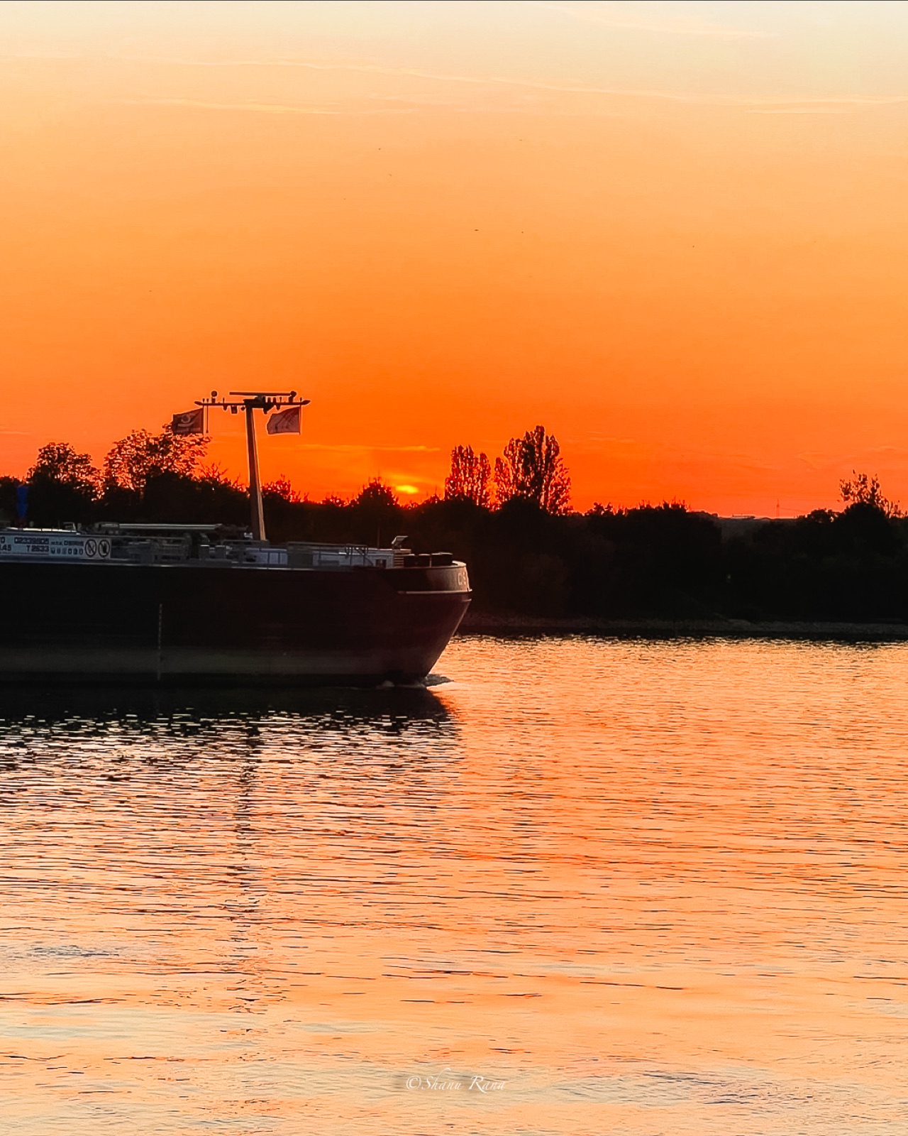 Barge on the Rhine against an orange sunset sky
