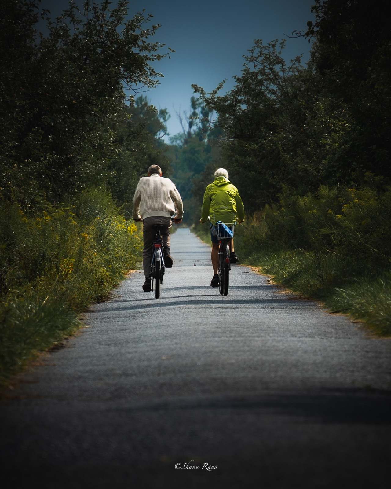 Two elderly cyclists riding away down a sunny path