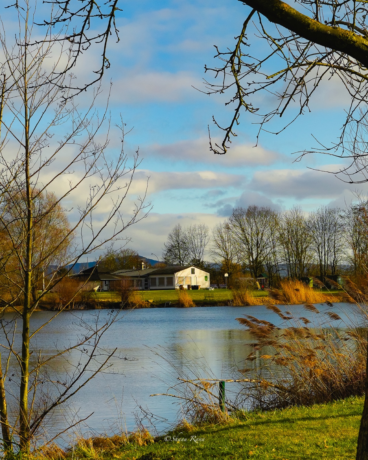Lake and clubhouse framed by winter trees